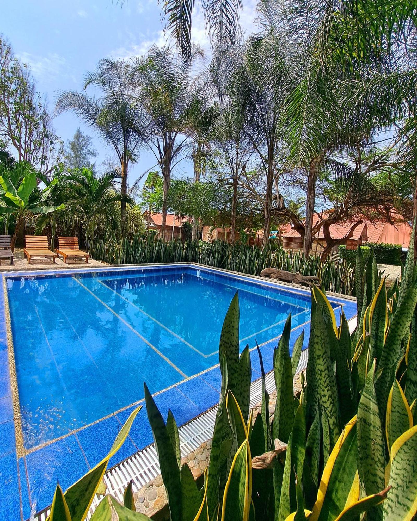 Cabanas La Tortuga อายัมเป ภายนอก รูปภาพ