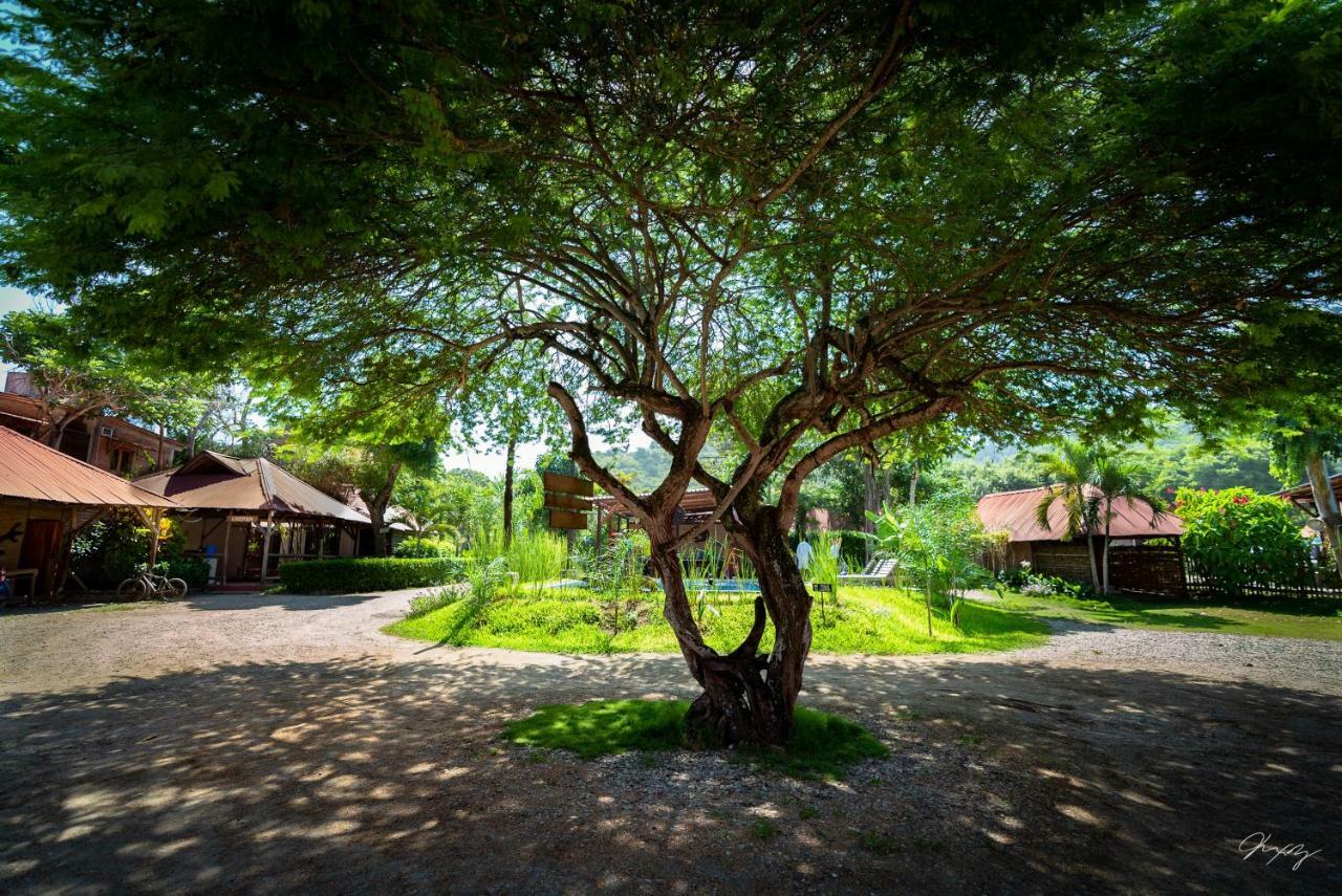 Cabanas La Tortuga อายัมเป ภายนอก รูปภาพ